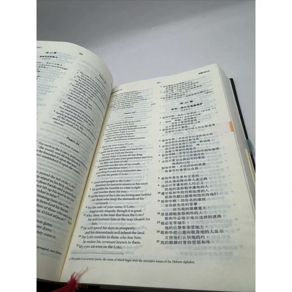Holy Bible New International Version Chinese / English‎ Translation NIV